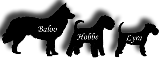 Hobbe och Lyras blogg