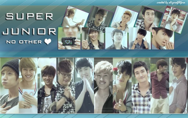 Super Junior (3)