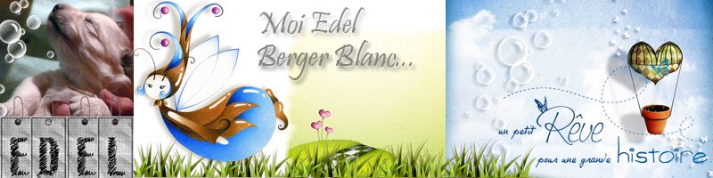 Edel Berger Blanc