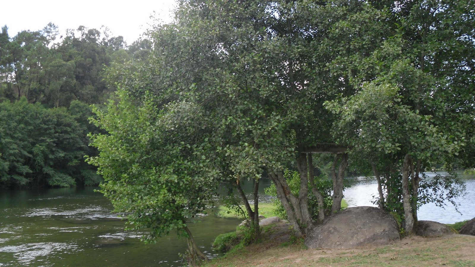 [SDC11606.JPG]