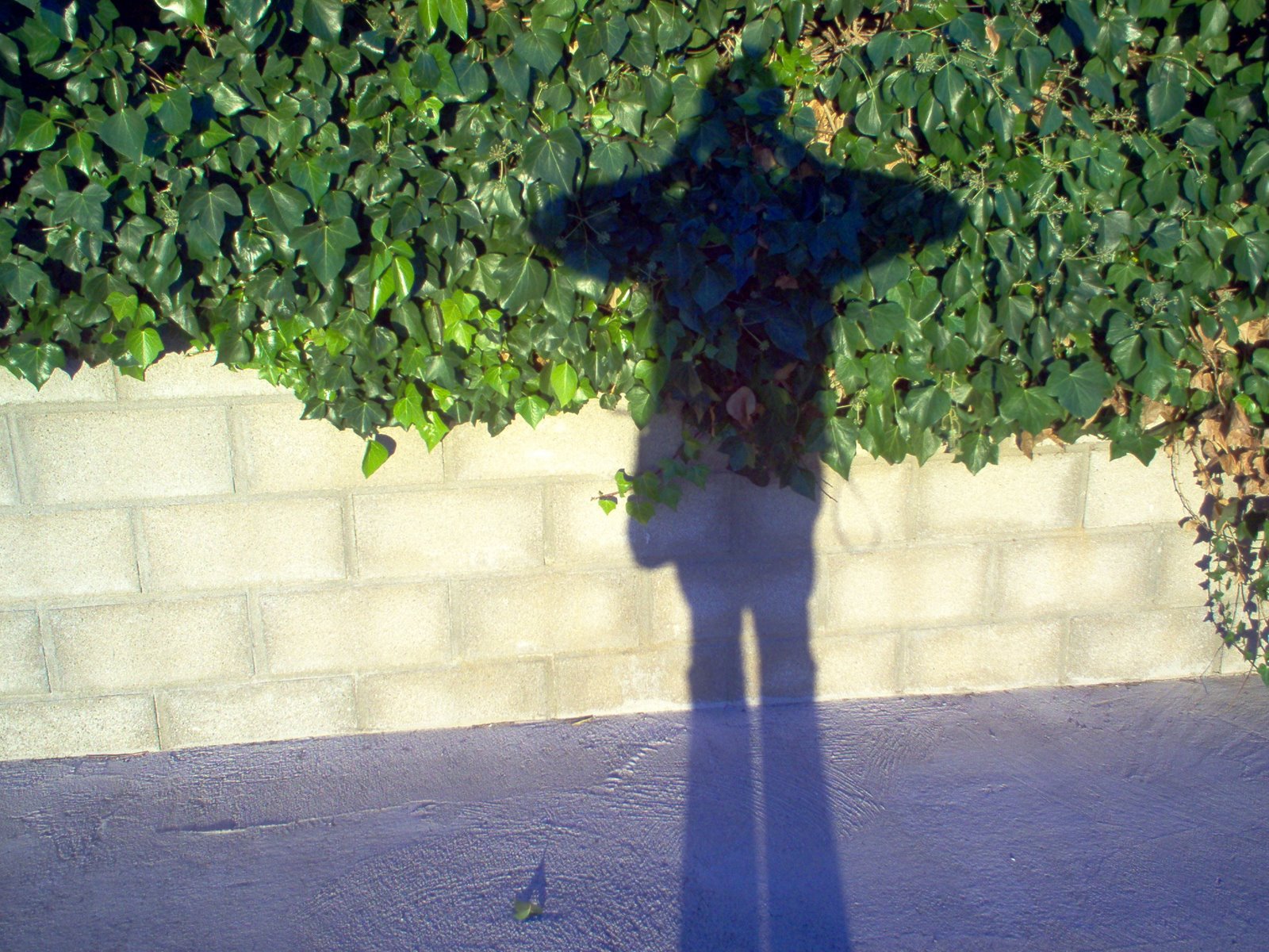 [Shine+on+]
