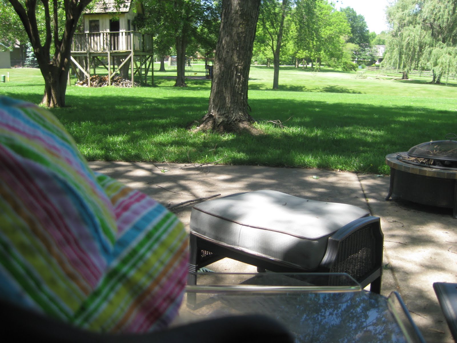 Our Crazy Life: June 2010