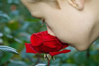 a boy smelling a red rose