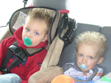 Ryker and Gage in Yellowstone 2008