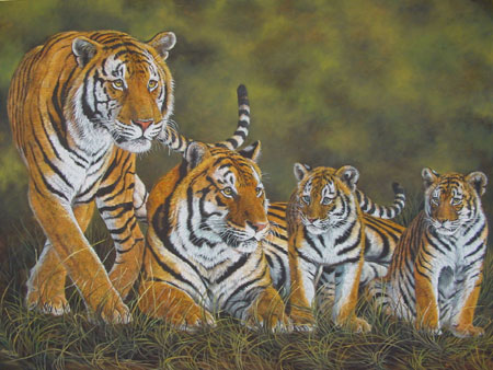 Tiger Family in Peace