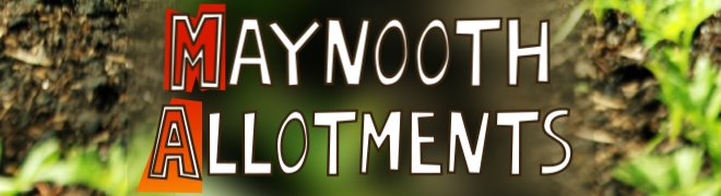 Maynooth Allotments Blog