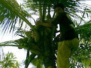 Abdul Aziz ..manjat kelapa