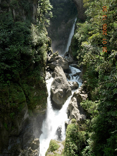 Chute El Diablo / Equateur