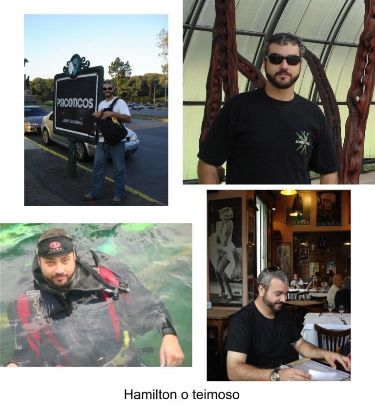 [hamilton_compb.jpg]