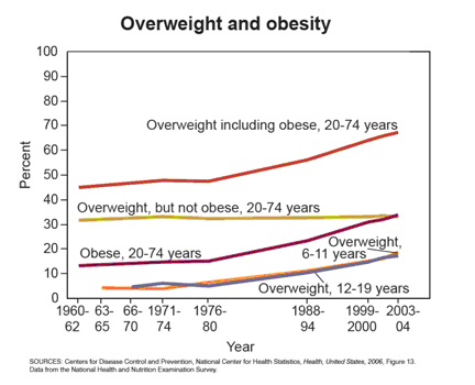 Obesity Due To Fast Food In America Obesity Due To Fast Food In America