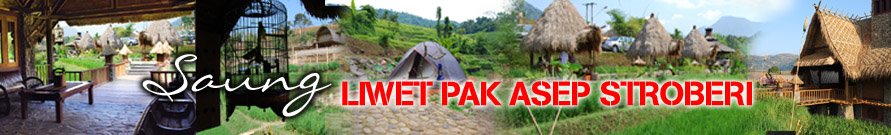 Liwet Pak Asep Stroberi