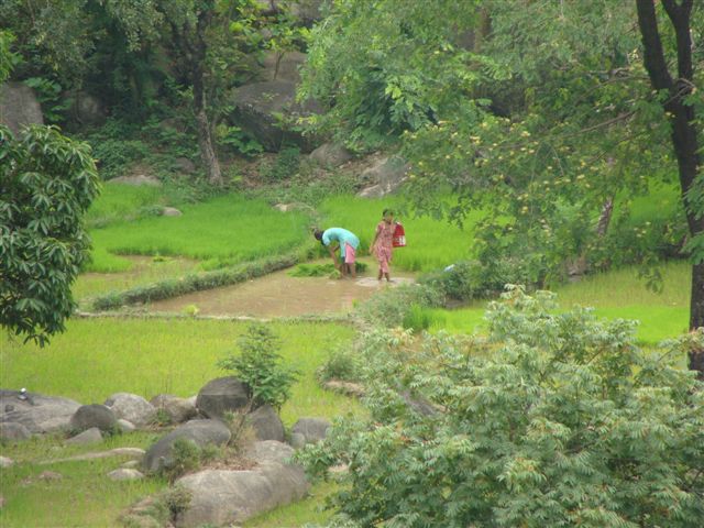 [DSC02606.JPG]