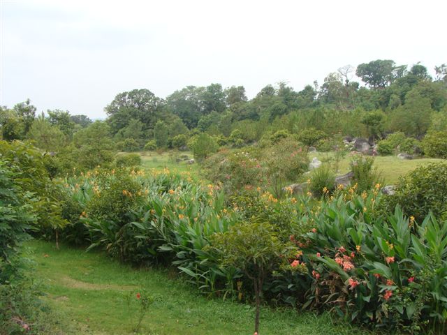 [DSC03035.JPG]