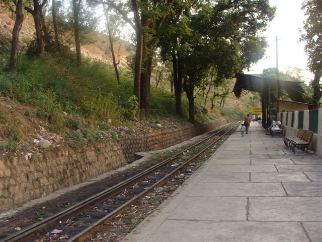 [DSC03255.JPG]