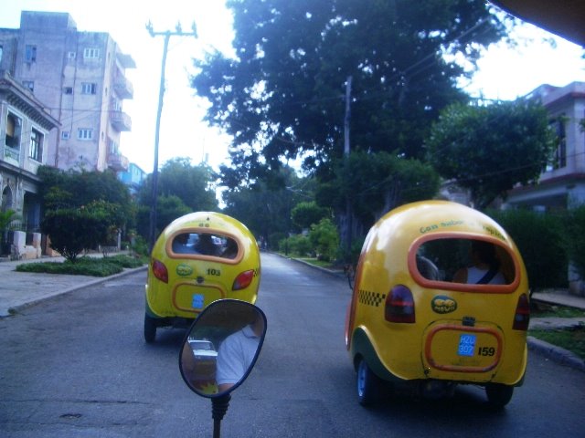 [CIMG0011.JPG]
