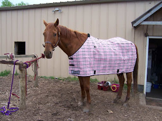 Sheath Cleaning: How I do it