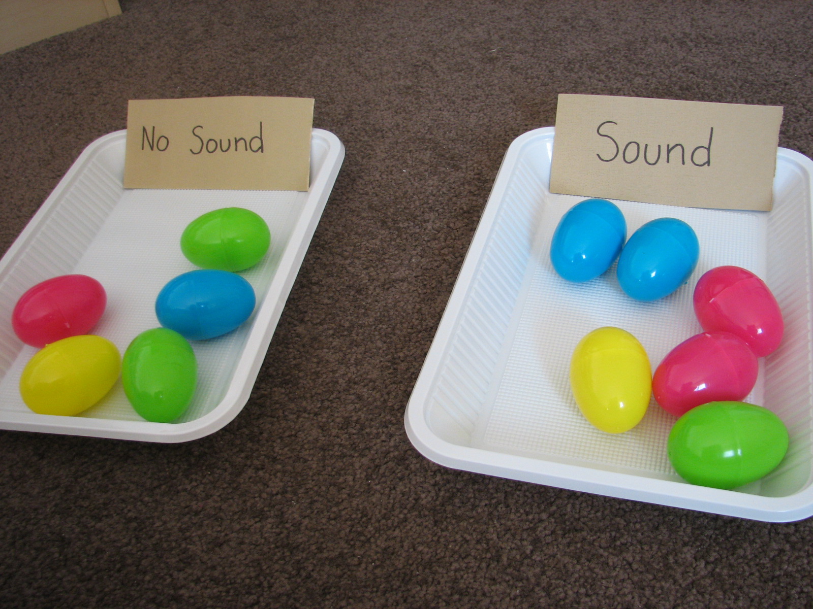 What do you do all day? Sound Eggs