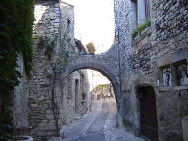 Découverte de la région : Vaison La Romaine