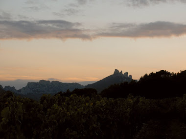 Coucher de soleil derrière les Dentelles de Montmirail