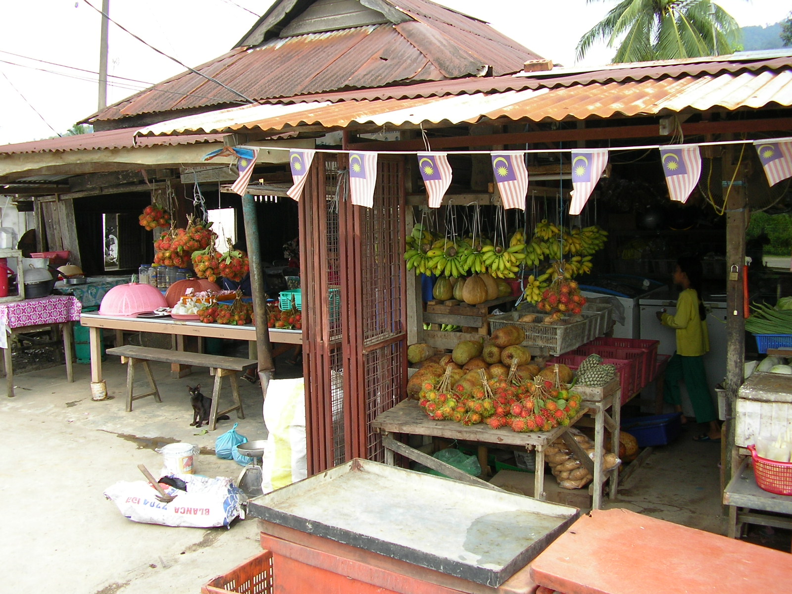 [Fruit+seller+on+road+side+Langkawi.JPG]