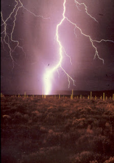 Lightning Field obra de Walter de Maria, artista que dio nombre al Land Art.