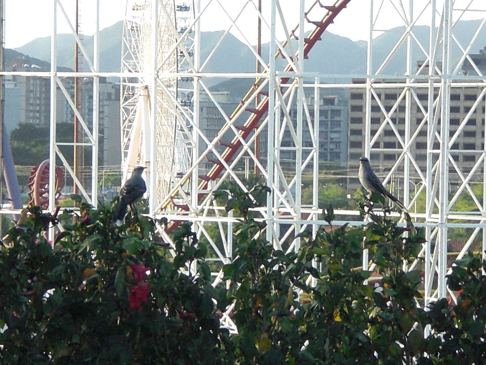 [ParqueyPajaros-02.jpg]