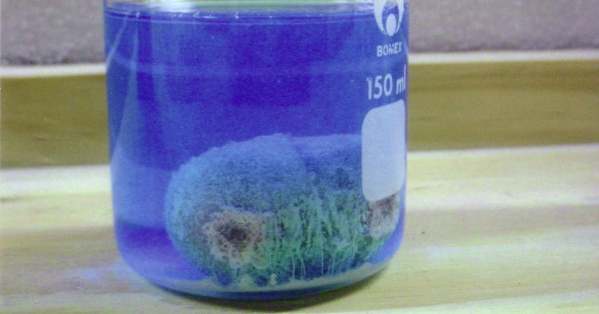 Sythesis to lead nitrate