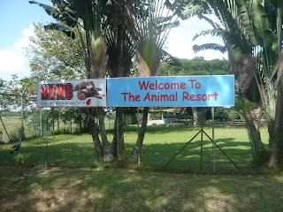 banner showing Animal Resort