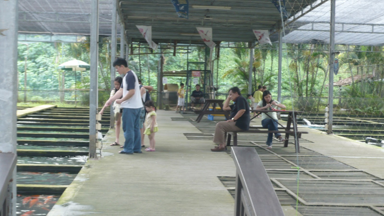 Singapore Local Tour Farm Tour Mainland Tropical FIsh Farm