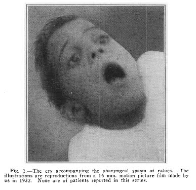 [DownloadedFile.bmp]