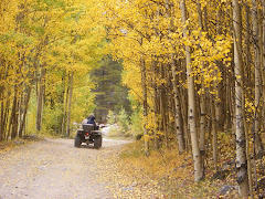 Fall in the Rockies 08