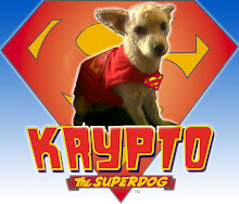 krypto