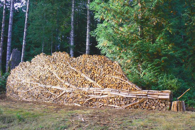 [Tree_de_Tree.jpg]