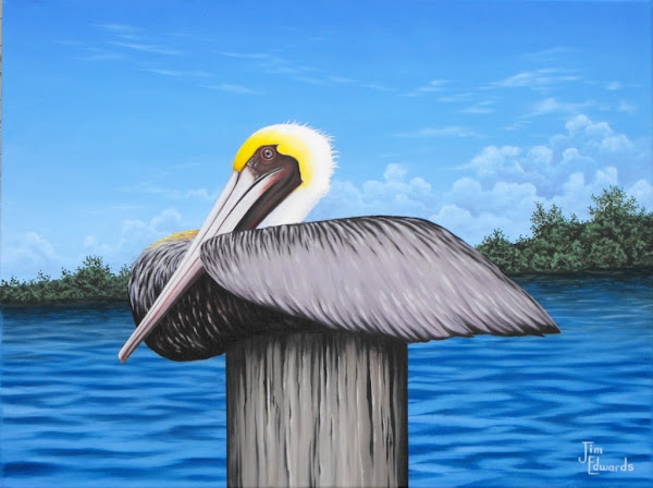 Pelican Sitting 18 x 24 (Sold)
