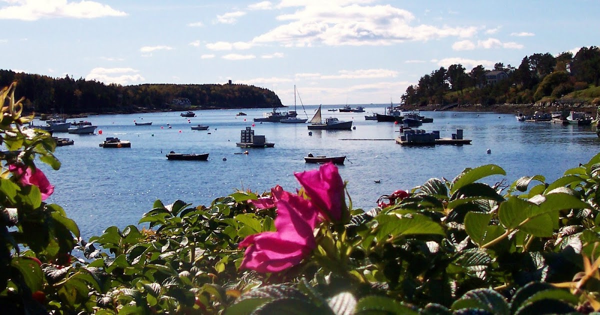 In search of Maine Mackerel Cove, Bailey Island, Maine