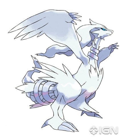 pokemon black photos