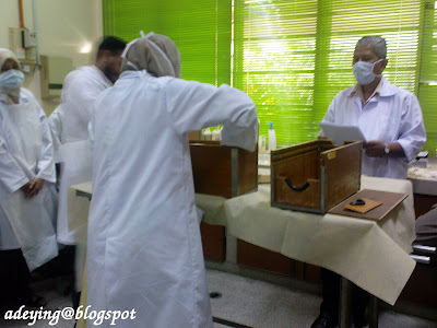 Practical examination on restraining of the rabbit