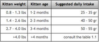 Burmese Kitten Weight Chart