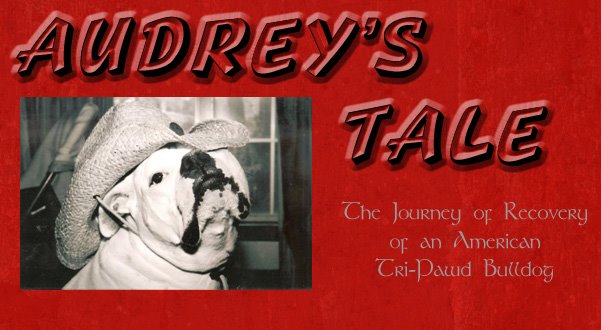 Audrey's Tale