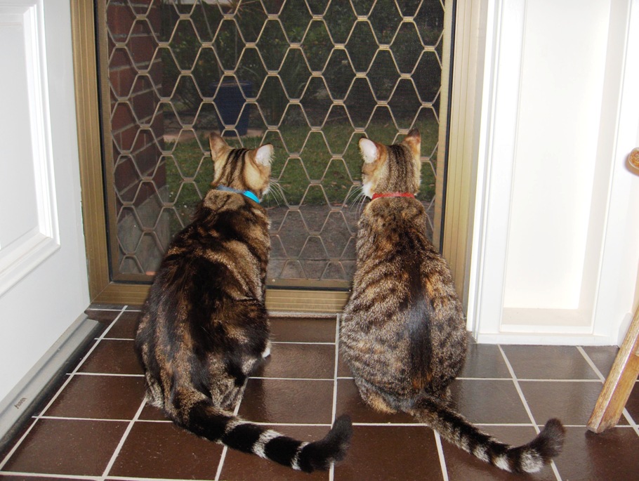 [Wilson+Ellie+Nov+2006.JPG]