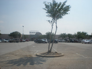 open at Northwest Mall.