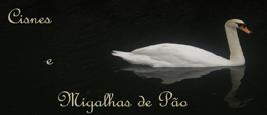 CISNES E MIGALHAS DE PÃO