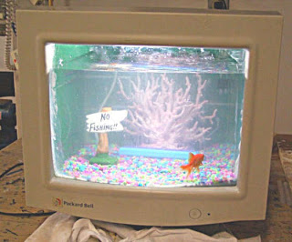 computer fish tank