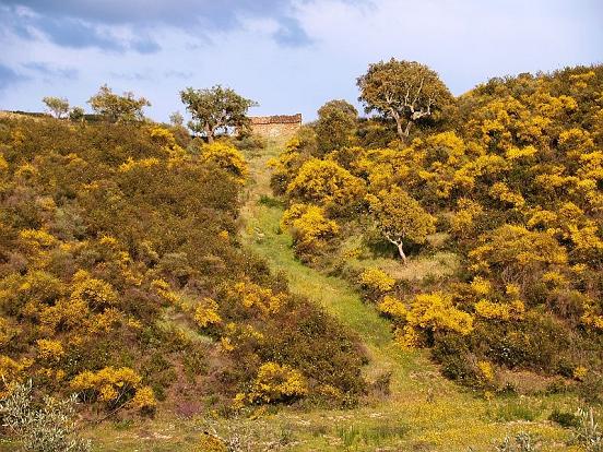 [pÃ©+da+serra33.JPG]