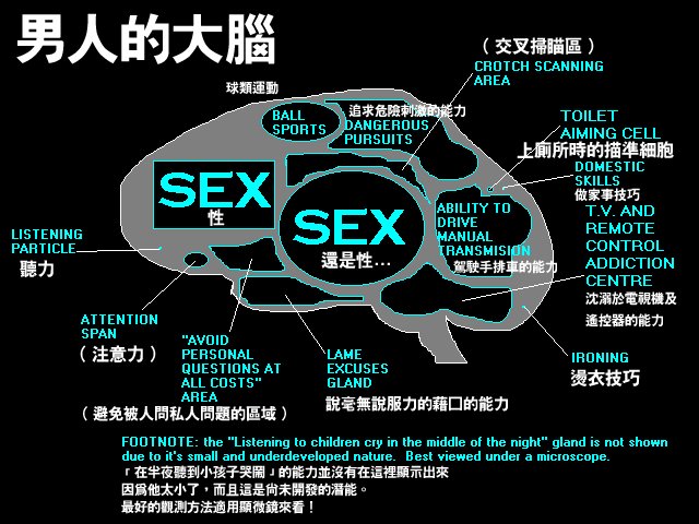 [brain2.bmp]