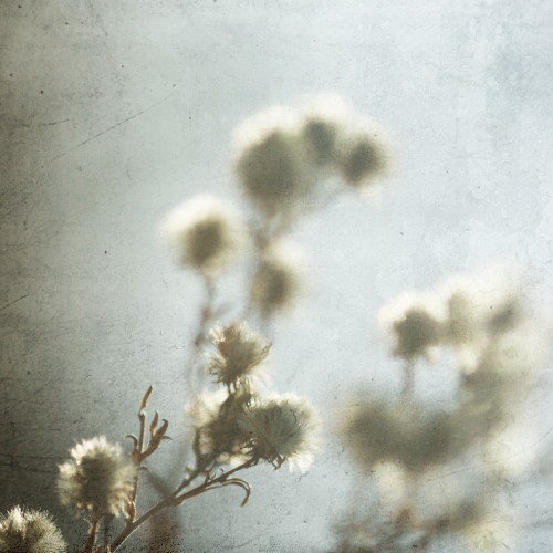 [IMG_light0001.JPG]