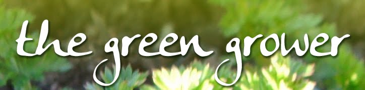The Green Grower - Allotment Antics