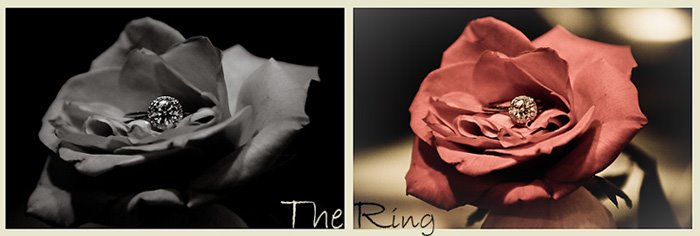 The Ring! So Beautiful!