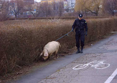 Police pig