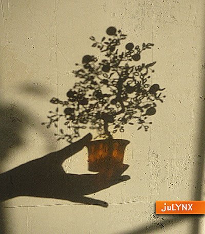 beaded tree